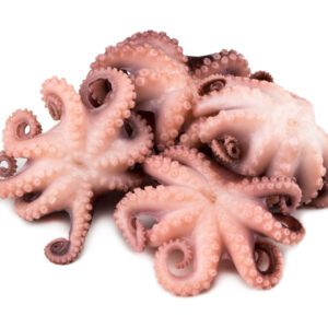 TK Oktopus 1000-2000g